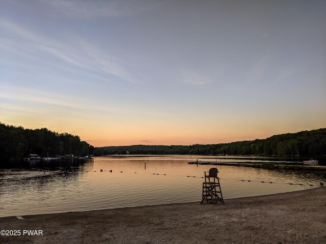 145 Lakeview Dr W, Lake Ariel, PA 18436 - photo 66