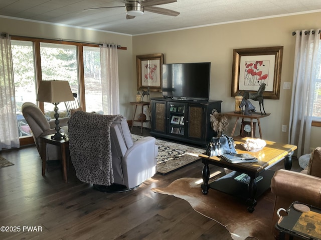 living room featuring ceiling fan, crown molding, and dark hardwood / wood-style flooring