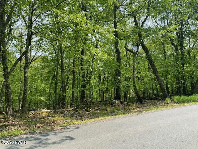 Arrowood, Milford, PA 18337 - photo 3