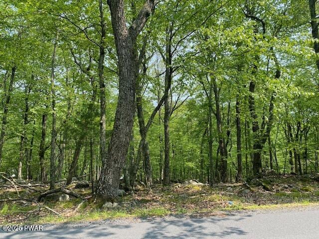 Arrowood, Milford, PA 18337 - photo 1
