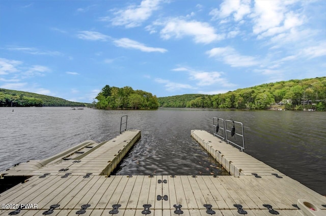 dock area featuring a water view and a forest view