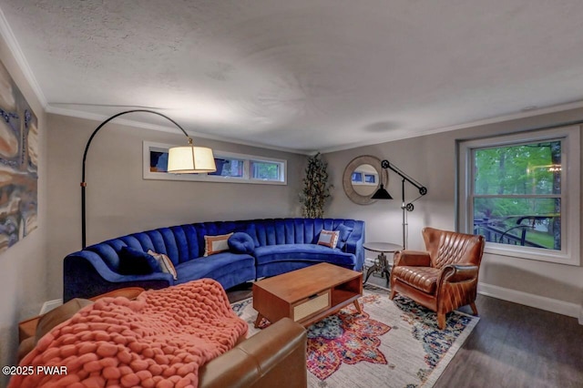 living area with wood finished floors, ornamental molding, and baseboards