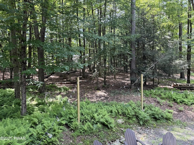 278 N Gate Rd, Lake Ariel, PA 18436 - view of local wilderness
