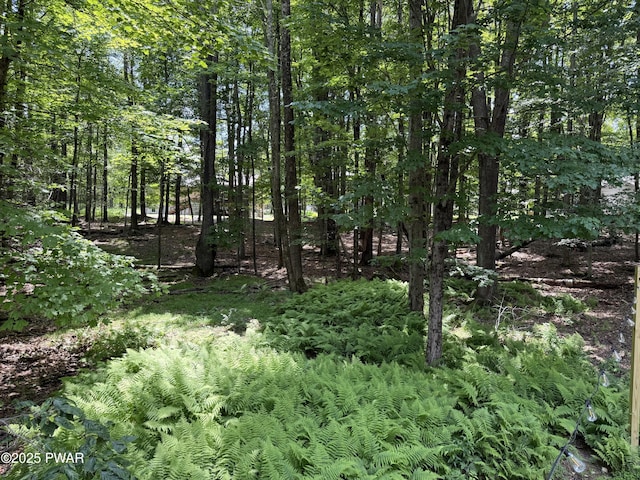 278 N Gate Rd, Lake Ariel, PA 18436 - view of local wilderness