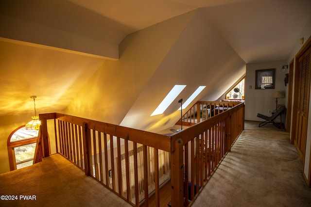 hall with carpet floors and lofted ceiling with skylight