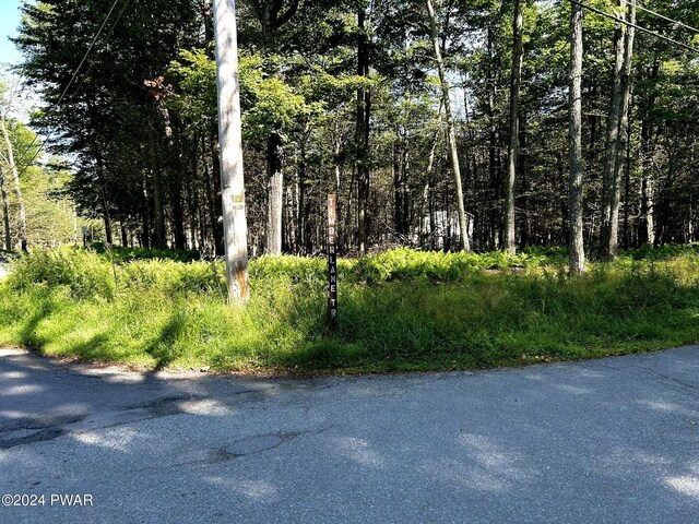 Listing photo 3 for LOT53 Timberlane Trl, Newfoundland PA 18445