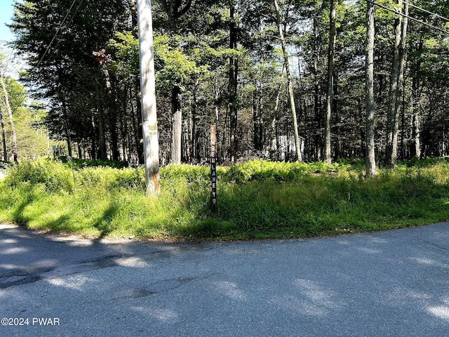 Listing photo 3 for LOT53 Timberlane Trl, Newfoundland PA 18445