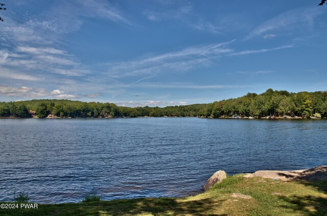 property view of water