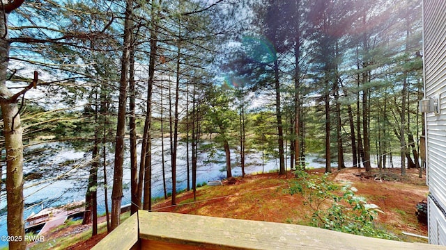 109 Lake Dr, Dingmans Ferry, PA 18328 - view of yard