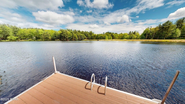 109 Lake Dr, Dingmans Ferry, PA 18328 - dock area featuring a water view