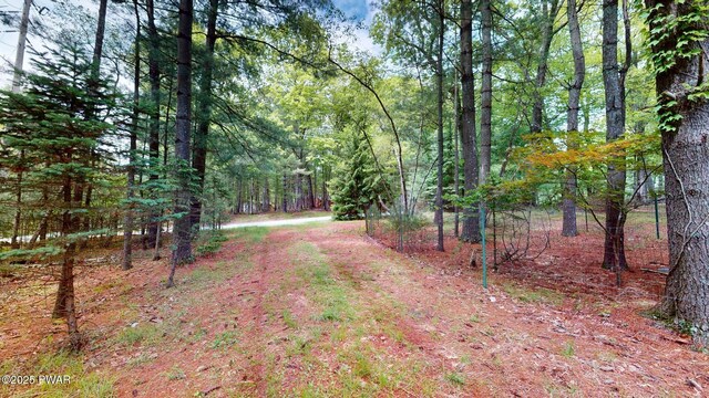109 Lake Dr, Dingmans Ferry, PA 18328 - view of yard with a wooded view