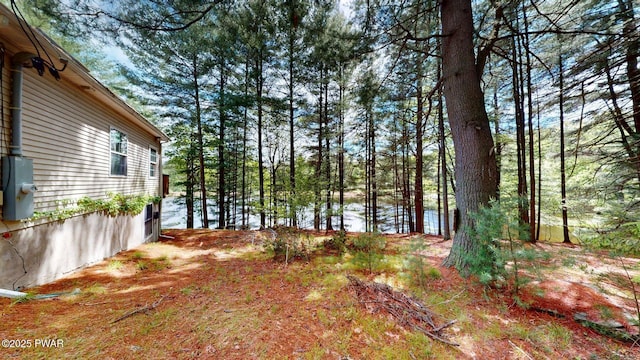 109 Lake Dr, Dingmans Ferry, PA 18328 - view of yard