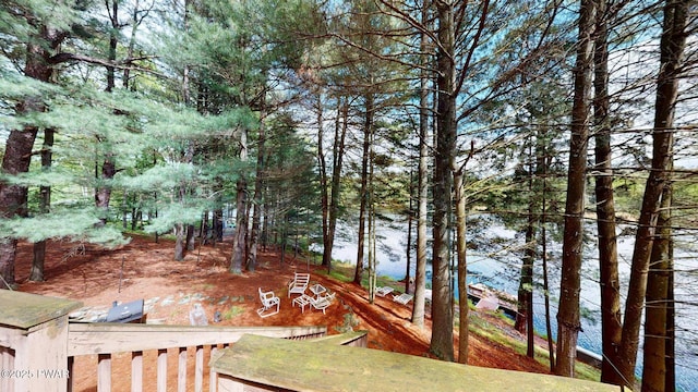 109 Lake Dr, Dingmans Ferry, PA 18328 - view of yard