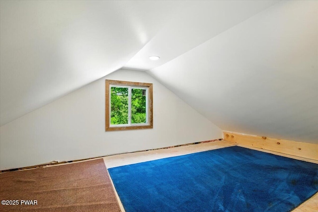 36 Rolling Acres Rd, Lake Ariel, PA 18436 - bonus room with lofted ceiling and carpet floors