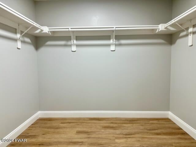 walk in closet with hardwood / wood-style flooring