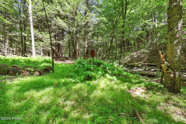 2058 Rte 590, Hawley, PA 18428 - photo 47