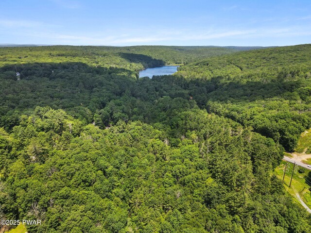 2058 Rte 590, Hawley, PA 18428 - photo 50