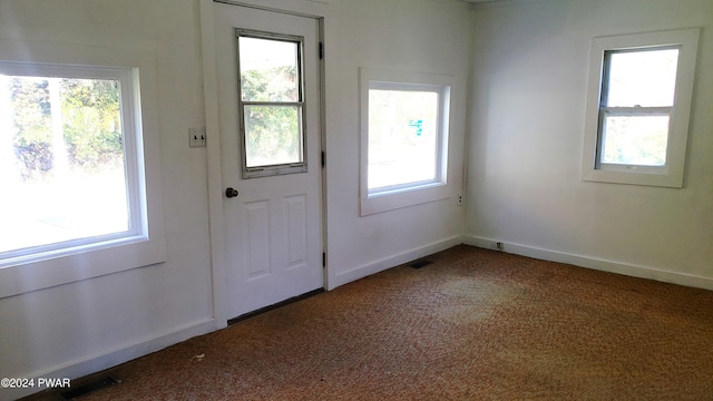 doorway featuring carpet flooring and a wealth of natural light