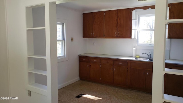 kitchen featuring crown molding, sink, and light colored carpet