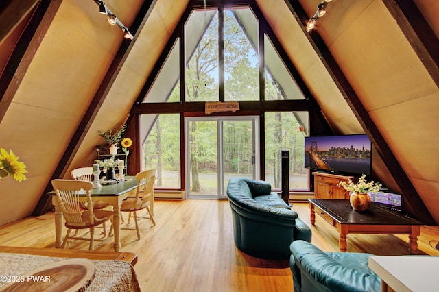 111 Blueridge Ln, Lords Valley, PA 18428 - living room with track lighting, light wood-style floors, lofted ceiling, and baseboard heating