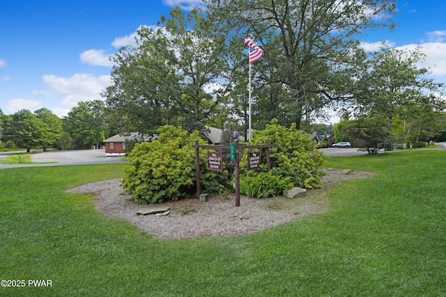 111 Blueridge Ln, Lords Valley, PA 18428 - view of green lawn