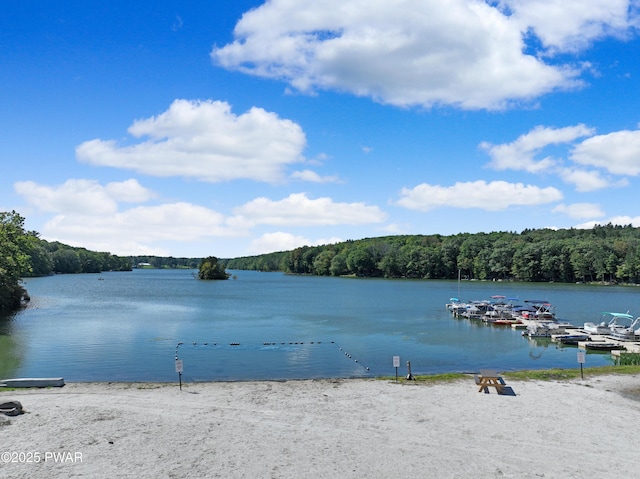 111 Blueridge Ln, Lords Valley, PA 18428 - water view featuring a heavily wooded area