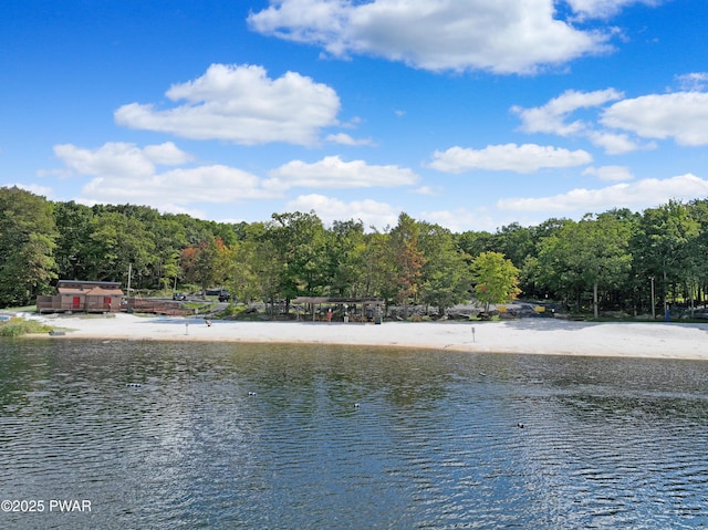 111 Blueridge Ln, Lords Valley, PA 18428 - water view with a heavily wooded area
