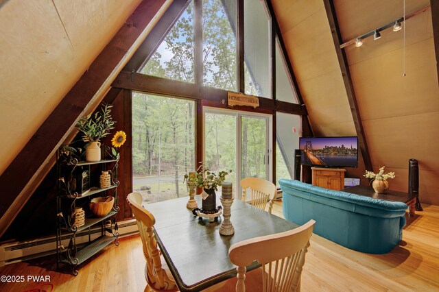 111 Blueridge Ln, Lords Valley, PA 18428 - dining area with baseboard heating, wood finished floors, and track lighting