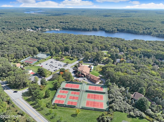 111 Blueridge Ln, Lords Valley, PA 18428 - bird's eye view of a forest and a large body of water