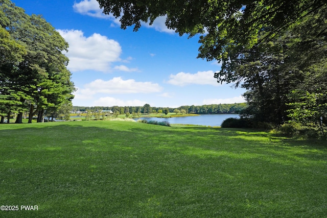 111 Blueridge Ln, Lords Valley, PA 18428 - surrounding community featuring a water view and a lawn