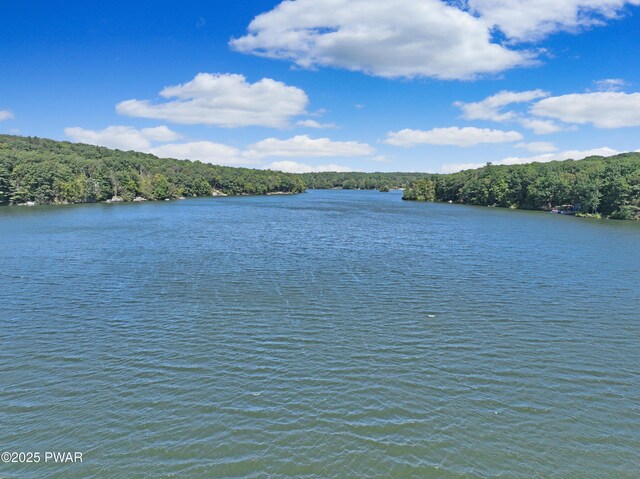 111 Blueridge Ln, Lords Valley, PA 18428 - water view featuring a heavily wooded area