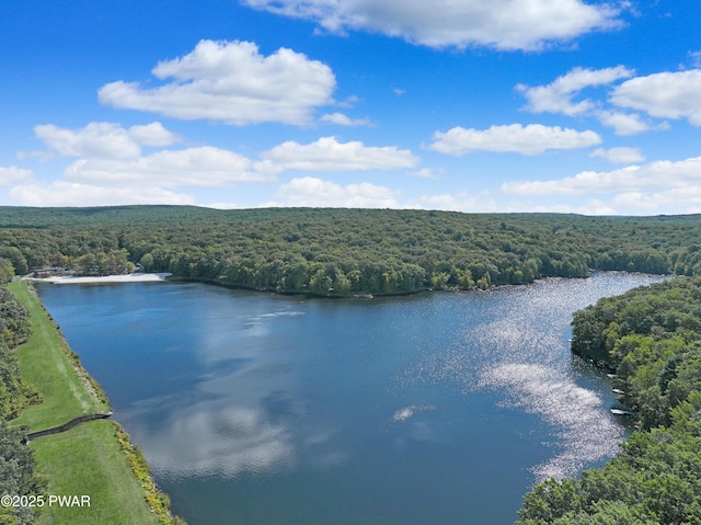 111 Blueridge Ln, Lords Valley, PA 18428 - water view with a forest