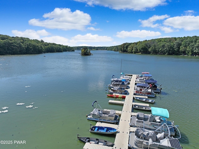 111 Blueridge Ln, Lords Valley, PA 18428 - water view with a heavily wooded area