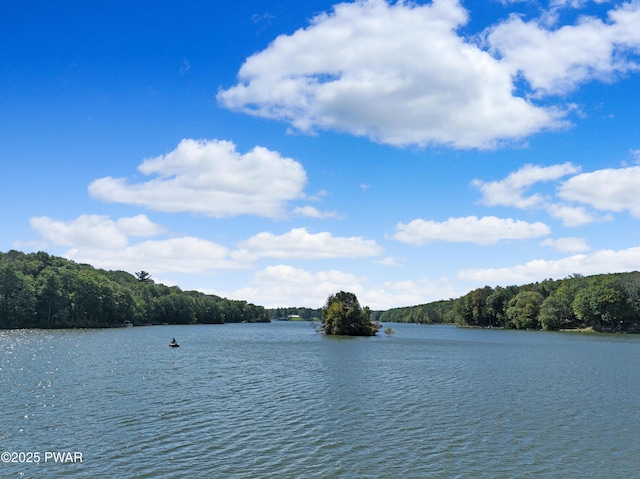 111 Blueridge Ln, Lords Valley, PA 18428 - water view featuring a forest