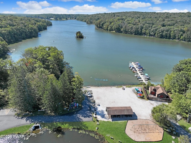 111 Blueridge Ln, Lords Valley, PA 18428 - drone / aerial view of a nearby body of water