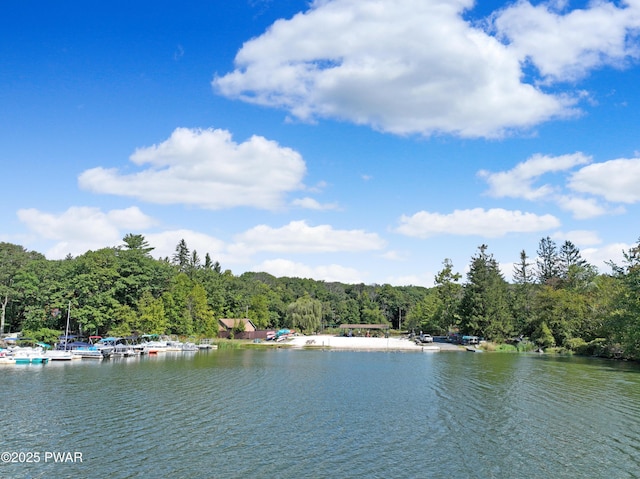 111 Blueridge Ln, Lords Valley, PA 18428 - water view with a heavily wooded area