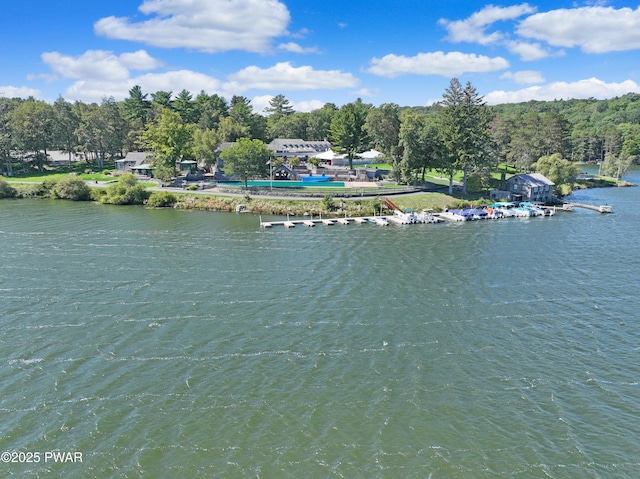 111 Blueridge Ln, Lords Valley, PA 18428 - water view