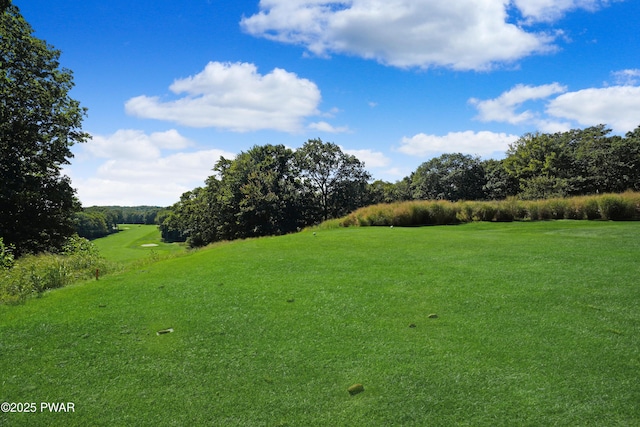 111 Blueridge Ln, Lords Valley, PA 18428 - view of green lawn