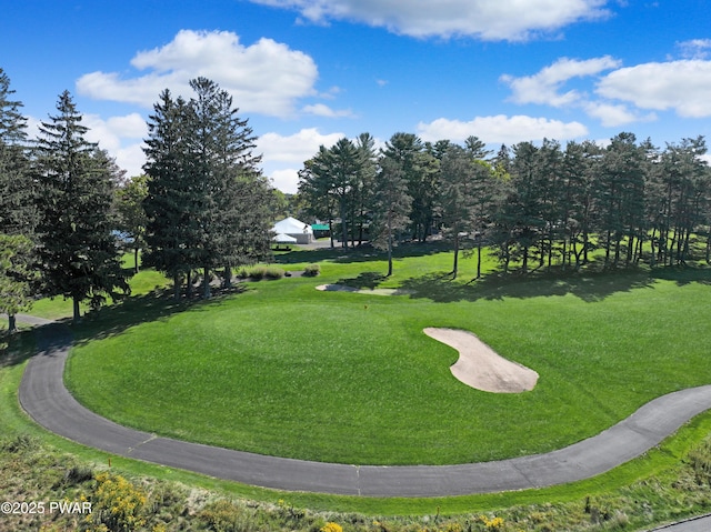 111 Blueridge Ln, Lords Valley, PA 18428 - view of community featuring a lawn
