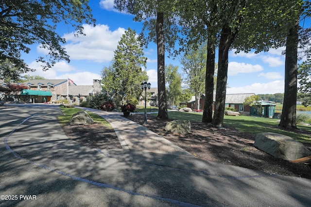 111 Blueridge Ln, Lords Valley, PA 18428 - view of asphalt street