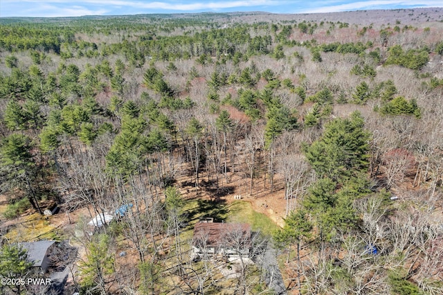 bird's eye view with a forest view