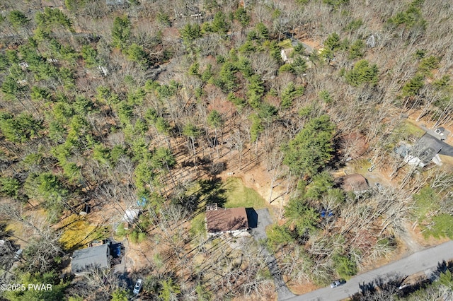 414 Leisure Loop, Milford, PA 18337 - bird's eye view