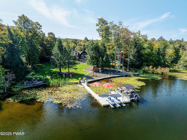 dock area with a water view