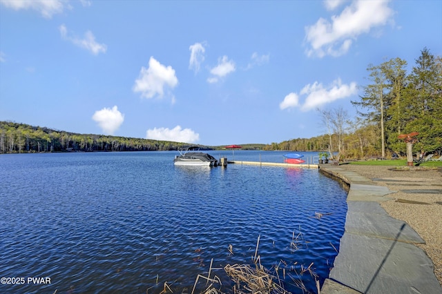 property view of water