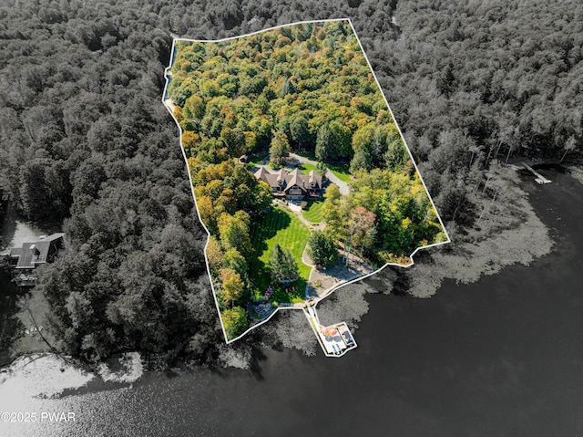 drone / aerial view with a water view and a view of trees