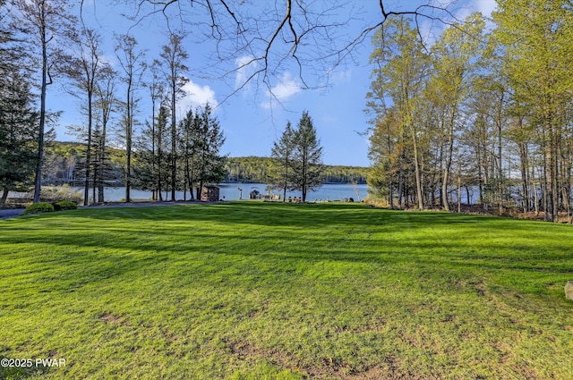view of yard with a water view