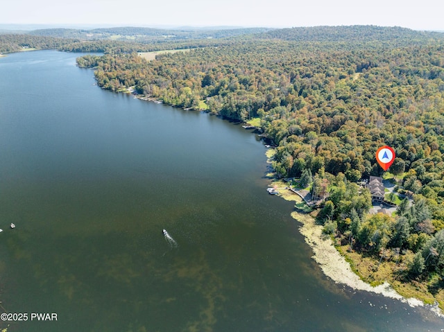 aerial view featuring a water view and a view of trees