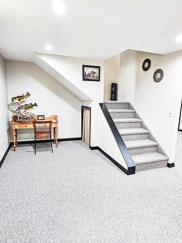 stairs with carpet flooring