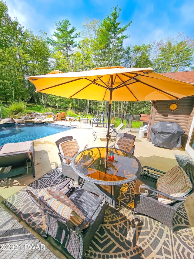 view of swimming pool with area for grilling and a patio