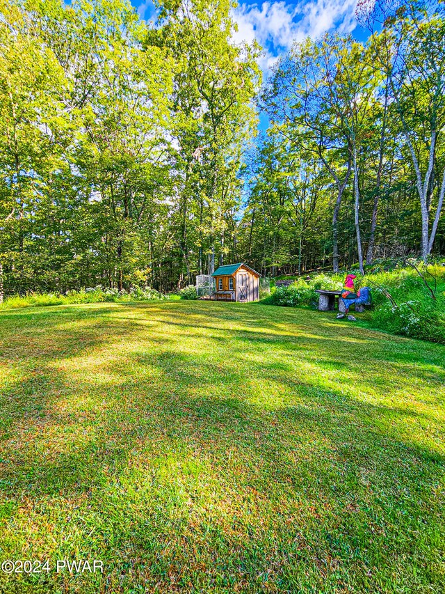 view of yard with a shed